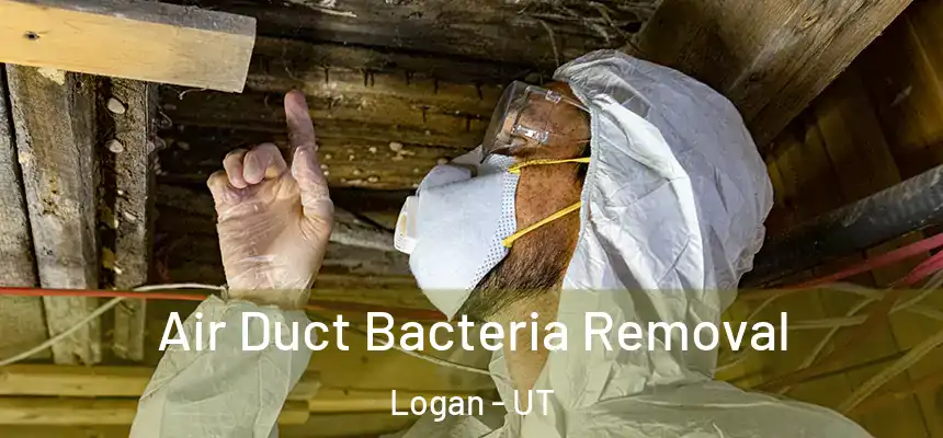  Air Duct Bacteria Removal Logan - UT