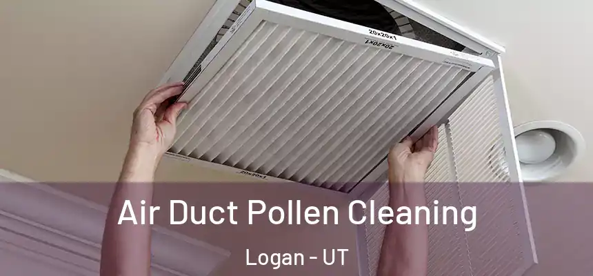 Air Duct Pollen Cleaning Logan - UT