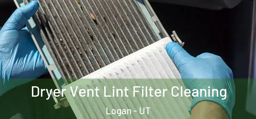  Dryer Vent Lint Filter Cleaning Logan - UT