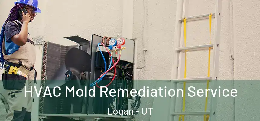  HVAC Mold Remediation Service Logan - UT