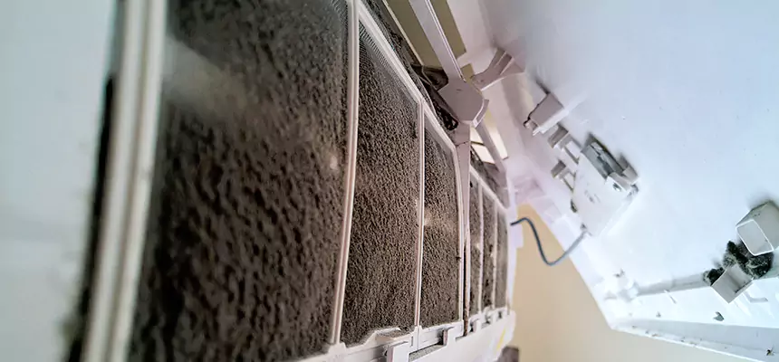 Preventive Air Duct Bacteria Removal in Logan