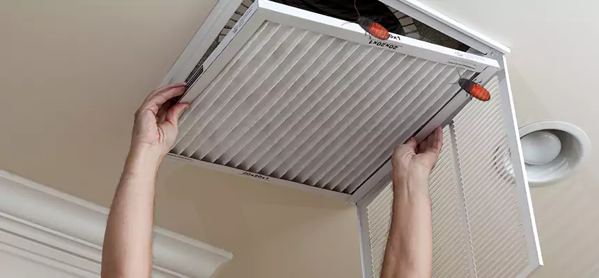 Preventive Cockroach-Proofing for Ducts in Logan