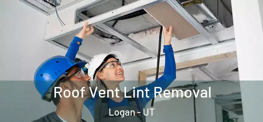  Roof Vent Lint Removal Logan - UT