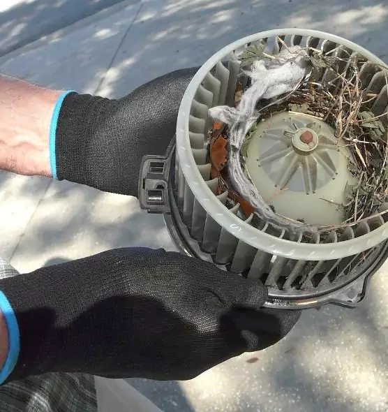 About Air Duct Mice Removal in Logan, UT