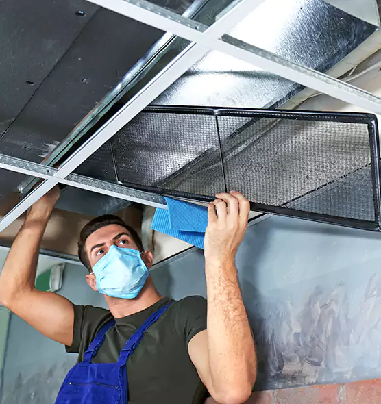 Professional Air Duct Pollen Cleaning in Logan, UT