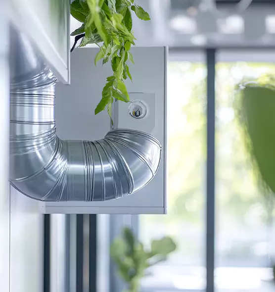 Professional Eco-Safe Dryer Vent Cleaning in Logan, UT