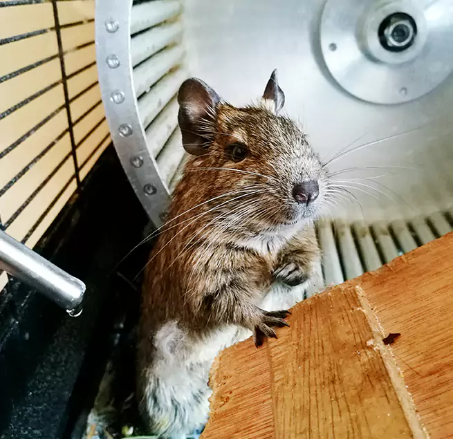 Why Homeowners & Businesses Trust Us Logan, UT?